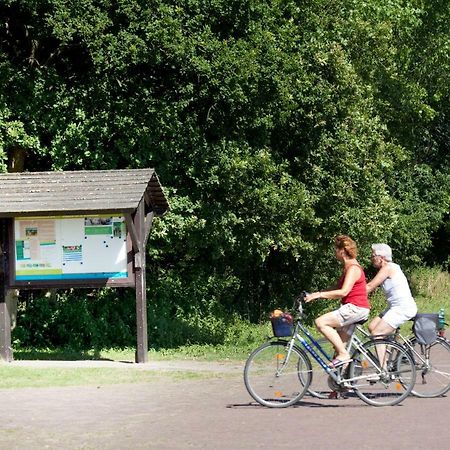 Appartementen - Bungalowpark Mooyeveld - Uniek Gelegen In De Duinen! Egmond-Binnen Zewnętrze zdjęcie