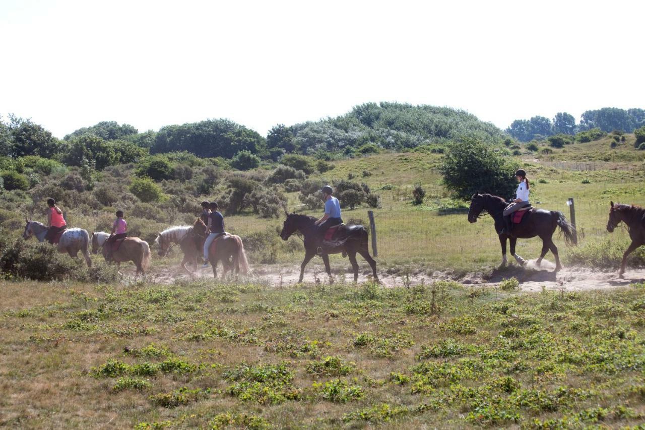 Appartementen - Bungalowpark Mooyeveld - Uniek Gelegen In De Duinen! Egmond-Binnen Zewnętrze zdjęcie