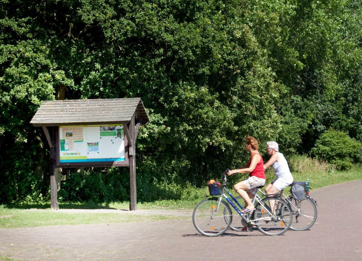 Appartementen - Bungalowpark Mooyeveld - Uniek Gelegen In De Duinen! Egmond-Binnen Zewnętrze zdjęcie